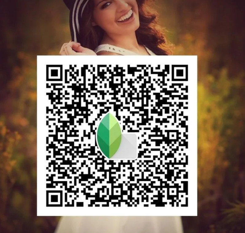 Best Snapseed QR codes Preset