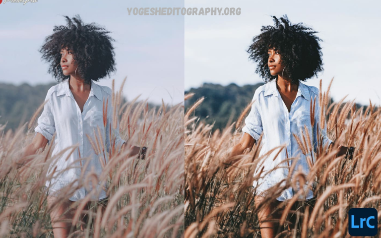 Download Free Lightroom Presets