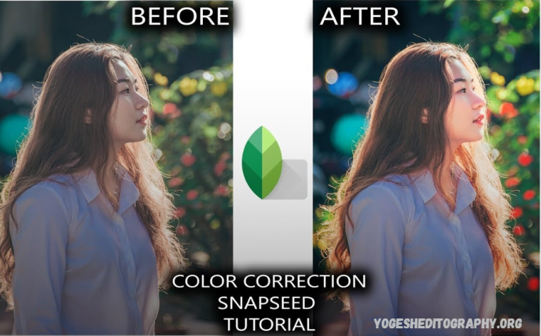 Snapseed Tutorial for Beginners